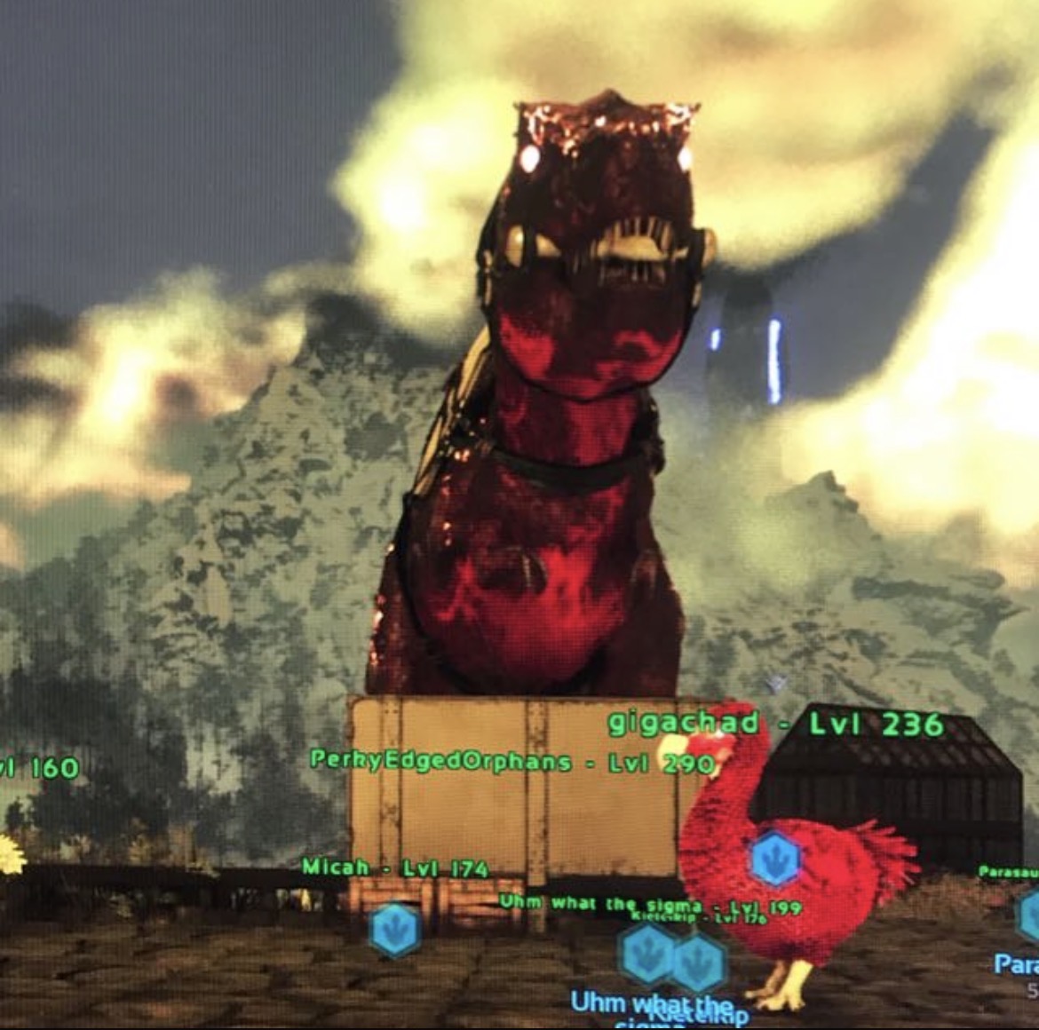 PerkyEdgedOrphans, de Volcanic Rex van de tribe